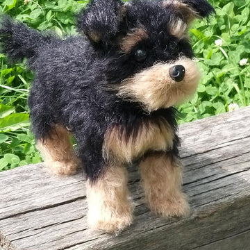 Dog Yorkshire Terrier