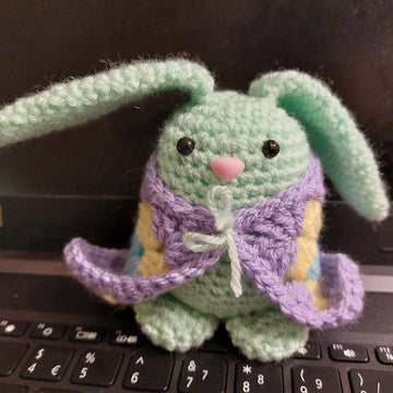 Bunny in a Blankie - Blanket