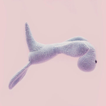 Peyton the Plesiosaur