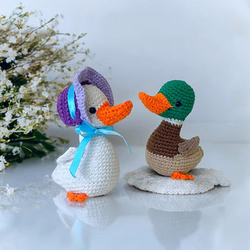 Bonnet Duck and mallard duck