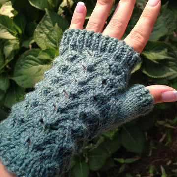 Reptile mitts