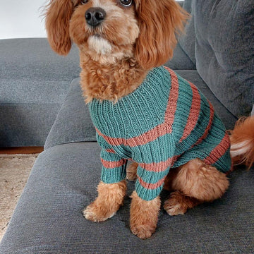 Dog Sweater Charlie No.2