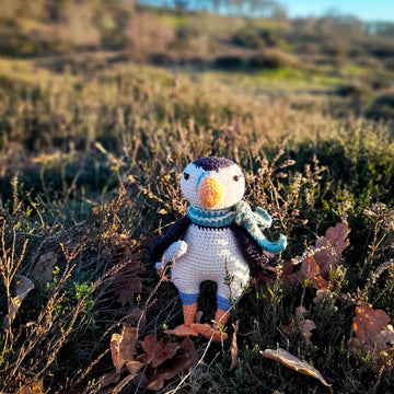 Pablo the Puffin