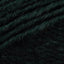 Forest/Black (202)