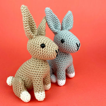 Hazel Bunny