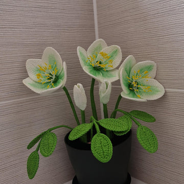 Crochet Hellebore flower