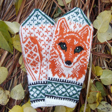 Fox Portrait