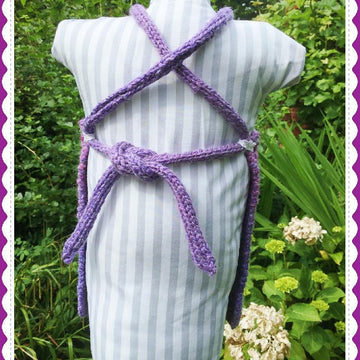 Dizzy's Pocket Pinafore