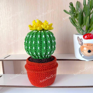 Cactus in a pot_5