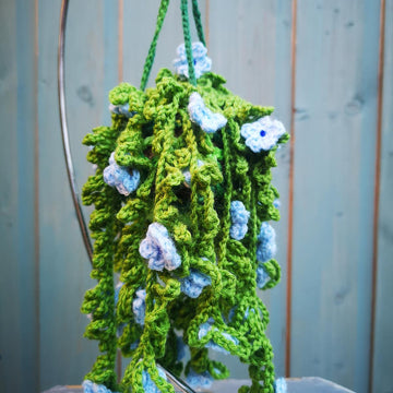 Snowtopia hanging plant