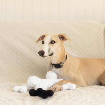 Doggo bone