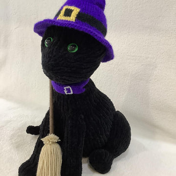 Halloween Black Cat and Broom