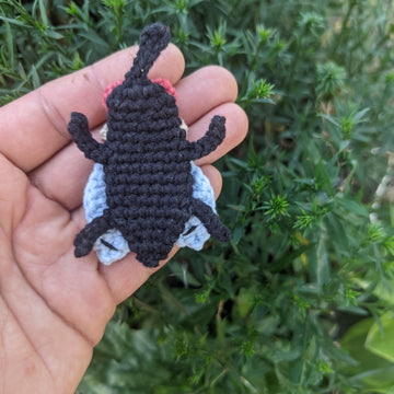 Fly Fidget Toy English_US