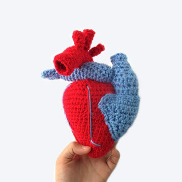 Realistic Heart
