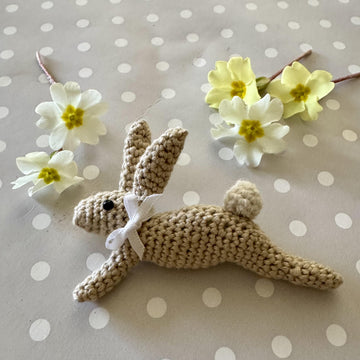 Leaping Spring Hare