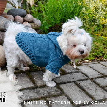 Sport hoodie clothes for dog