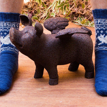 Pigasus Socks
