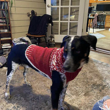 Snowy pup Sweater
