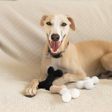 Doggo bone