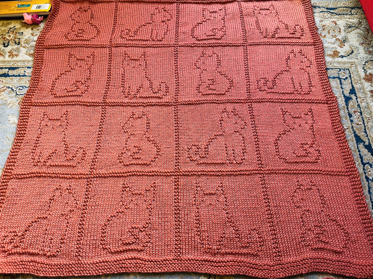 Cat Blanket