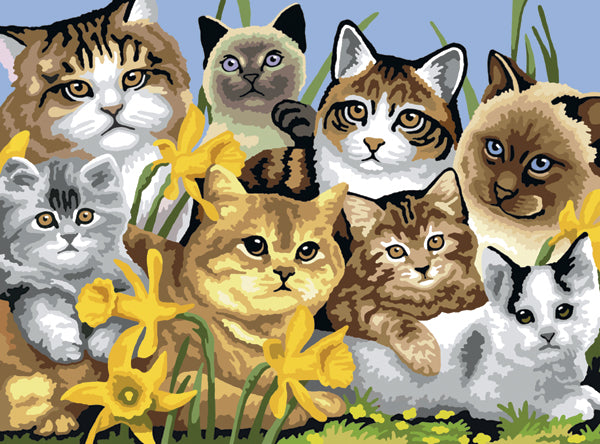 Royal Brush Junior Large Paint By Number Kit 15.25"X11.25" - Cats Montage