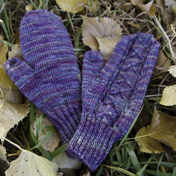 Northern Lights Mittens