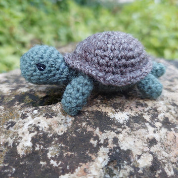 Little turtle