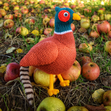 Philip the Pheasant