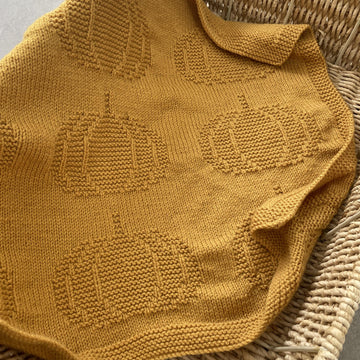 Autumn Pumpkin Knit Blanket