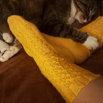Look Around Socks