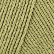 Misty Olive (891)