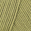 Misty Olive (891)