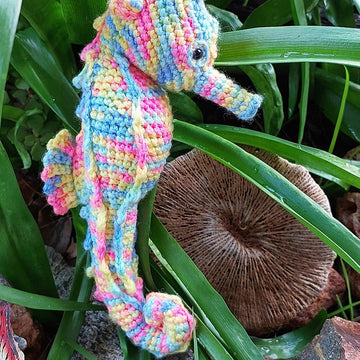 Seahorse