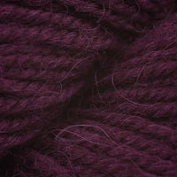 Beet Root (06259)