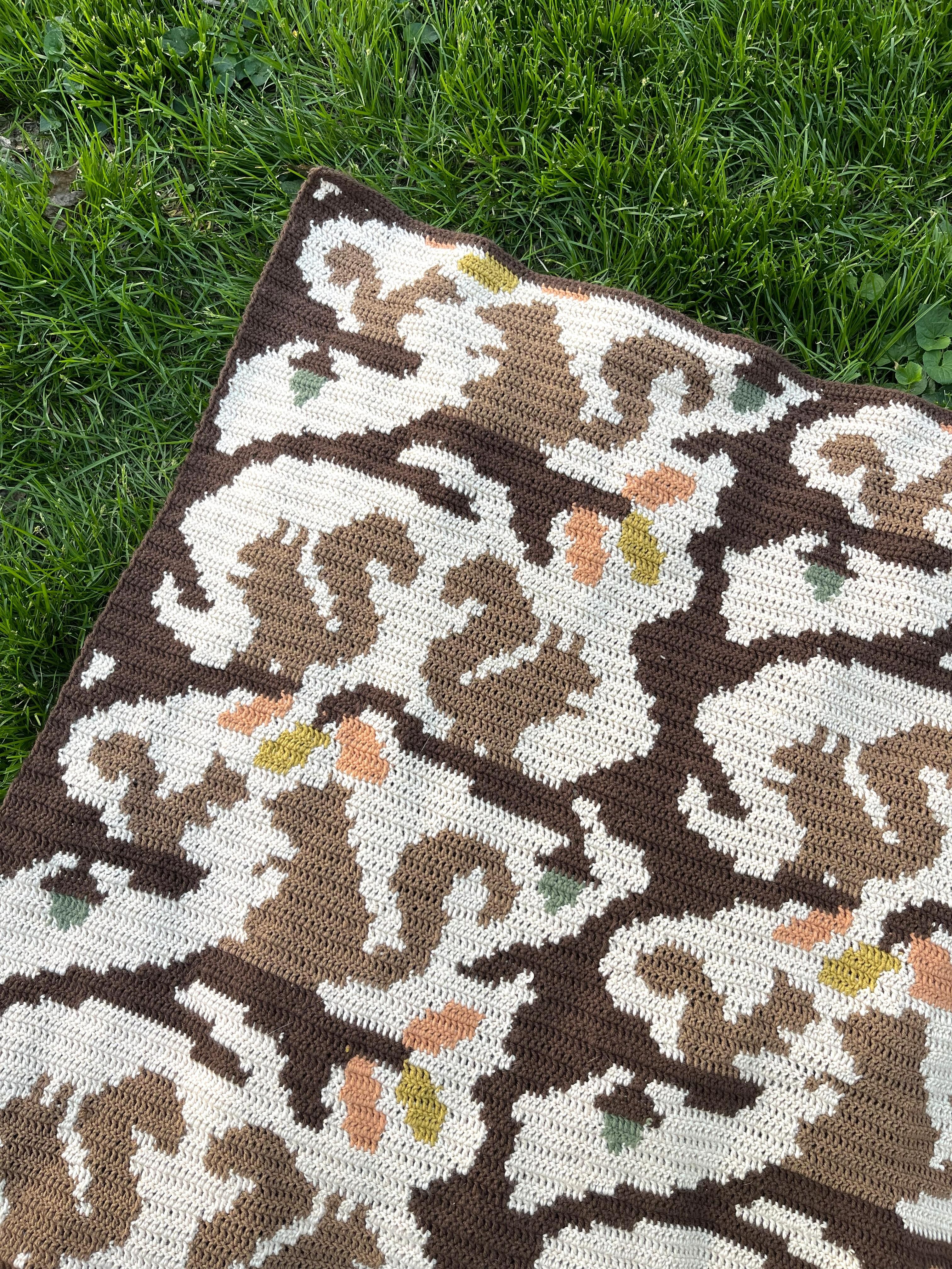 Squiggly Squirrel Blanket