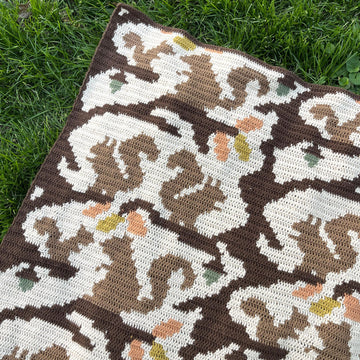 Squiggly Squirrel Blanket
