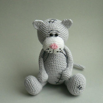 Grey cat