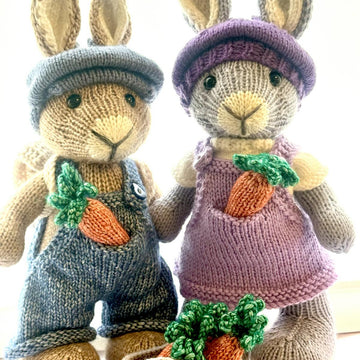 Elderberry Bunny and Outfits