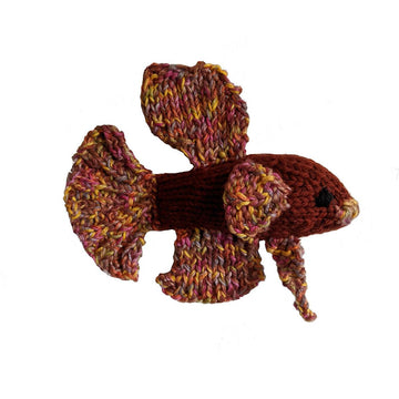 Betta Fish