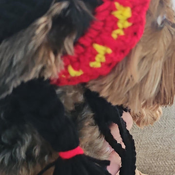 Indian Pet Bandana and Hat