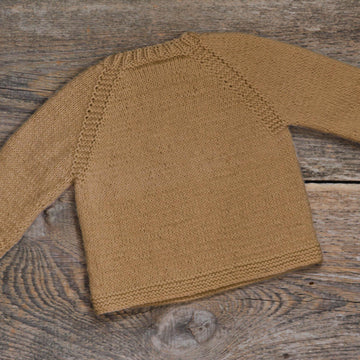 Beagle Dog Asymmetrical Baby Pullover Knitting Pattern