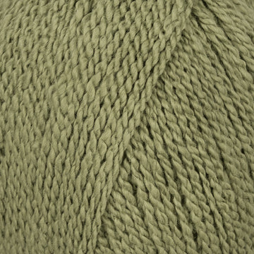 Fern (5606)