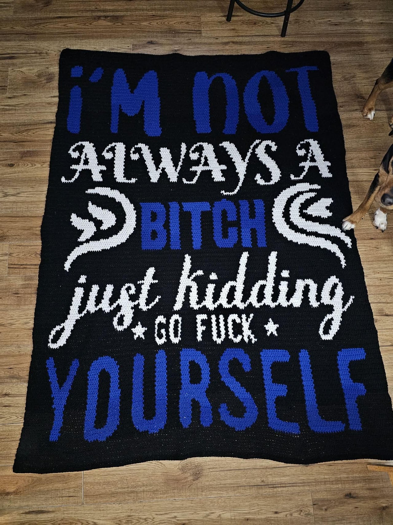 Not A B**ch Graphghan Crochet Pattern