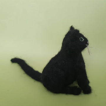 Halloween: black cat & jack-'o-lantern