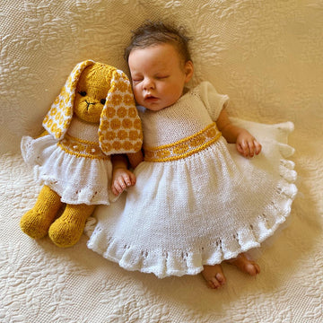 Daisy Delightful Baby Dress