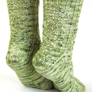 Willowbug MKAL