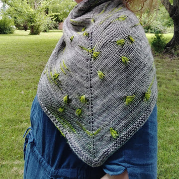 Assignment Shawl