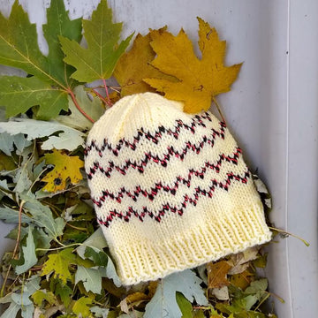 Broken Trail Hats