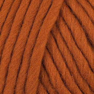 Cinnamon Dust (33)
