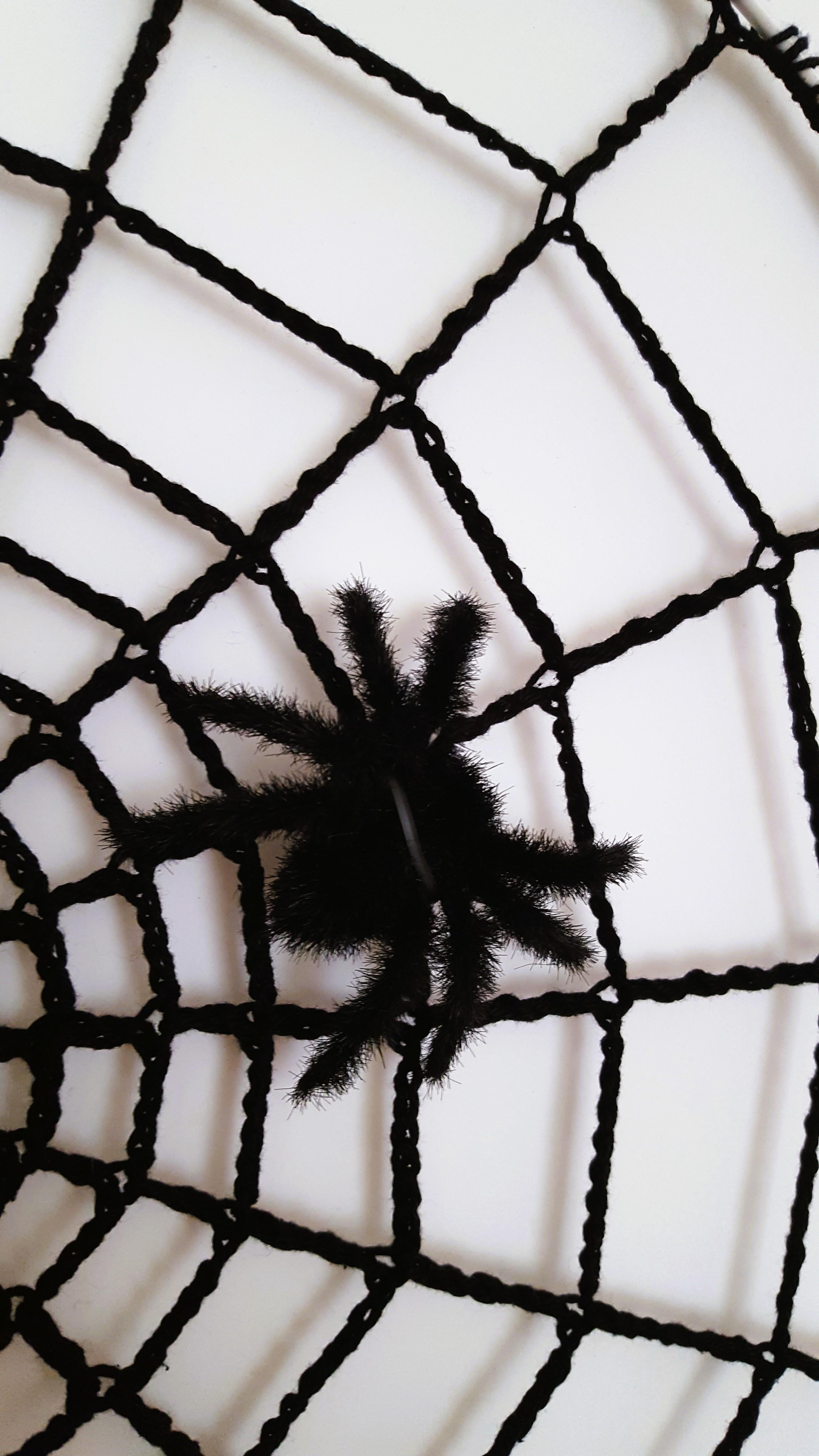 Spider web dream catcher